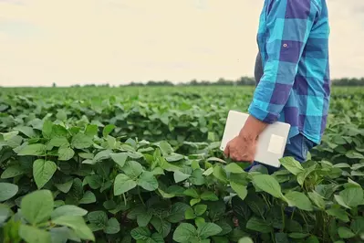 person in farm field with paperwork